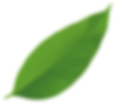 growth-close-up-environmental-lush-natural-copy - TheFullClean.com